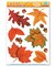 Beistle Club Pack of 120 Autumn Leaves and Acorns Fall Window Clings 17"